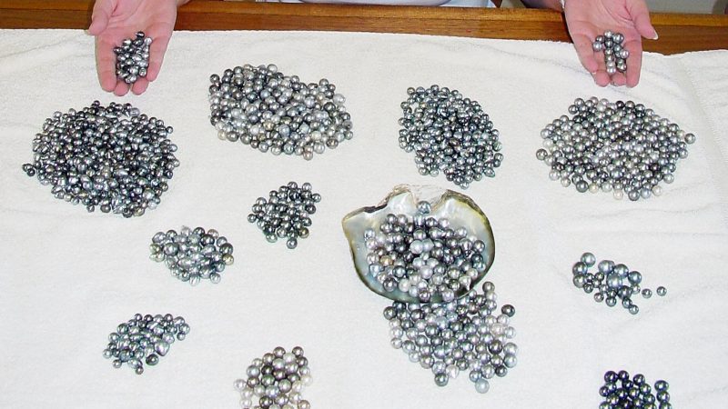 Perlen – die ungeschliffenen Edelsteine: Die wichtigsten Perlen-Arten