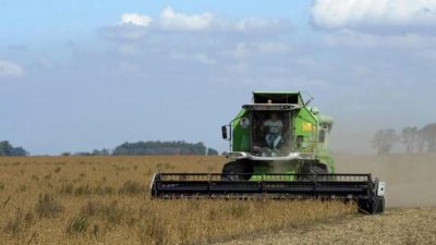 Das beliebte Gerücht um Monsanto in Argentinien