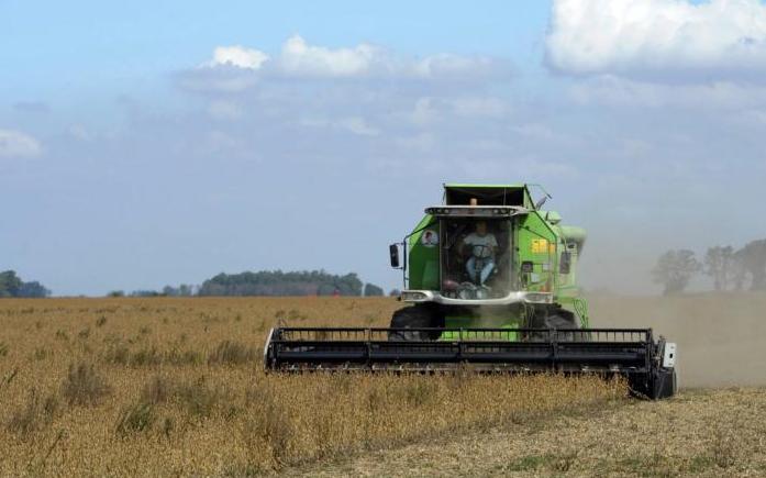 Das beliebte Gerücht um Monsanto in Argentinien