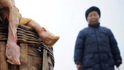 China: Das Gesundheitsministerium warnt vor Vogelgrippe