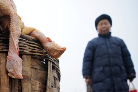 China: Das Gesundheitsministerium warnt vor Vogelgrippe