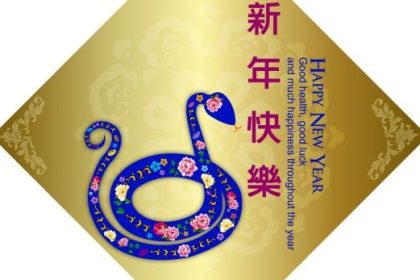 Was sagen Chinesen über Menschen aus dem Jahr der Schlange?