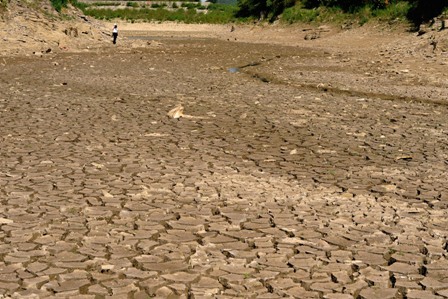 Dürre in China: Mindestens 50 Millionen Menschen betroffen