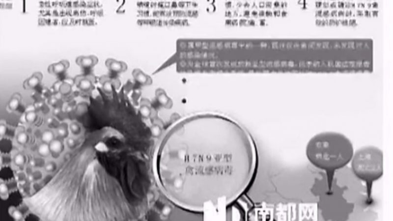 China: Verzögerte Berichterstattung über Vogelgrippevirus wirft Fragen auf