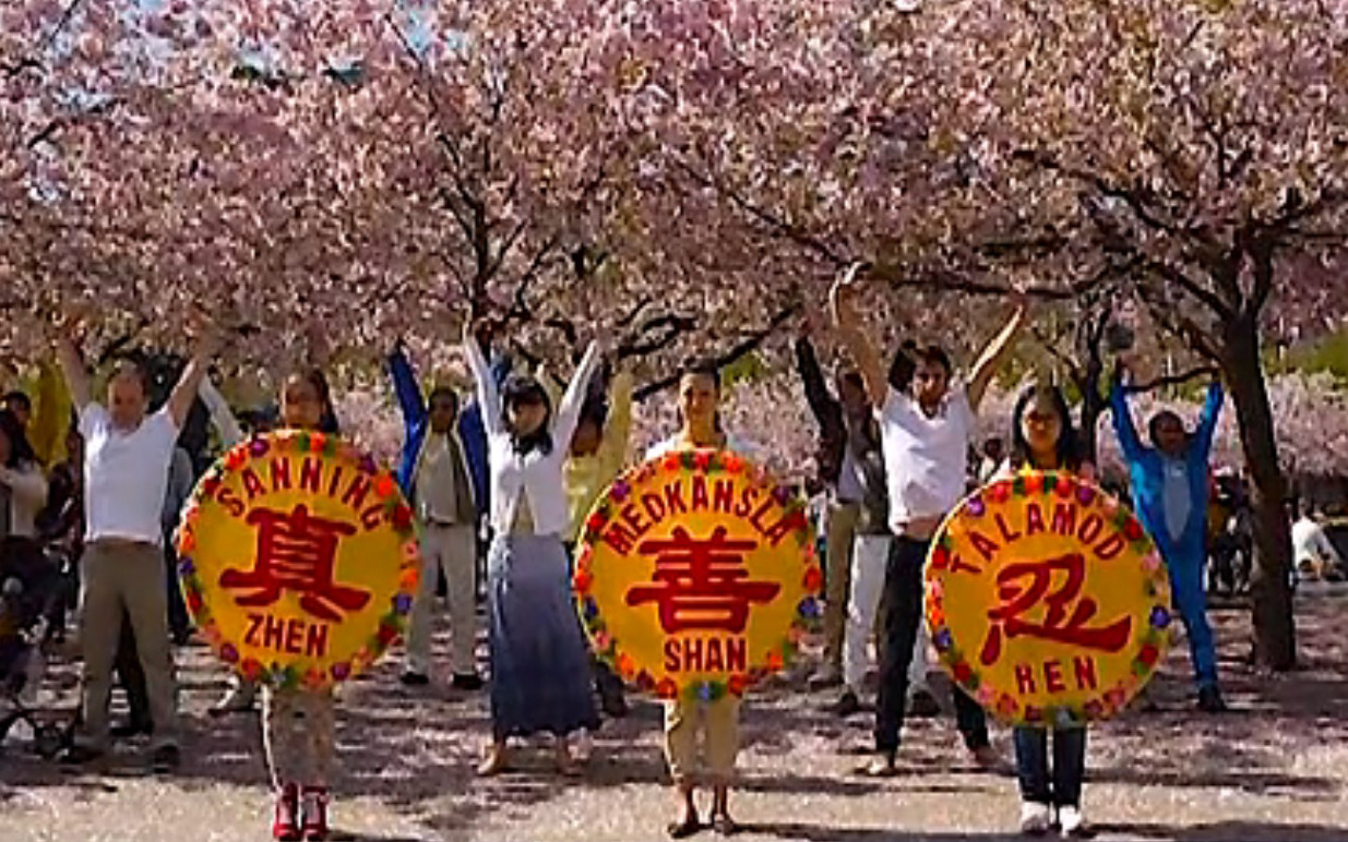 Die Welt feierte den 21. Falun-Dafa-Tag