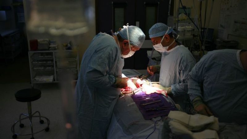 Organtransplantation – spirituelle Aspekte aus anthroposophischer Sicht