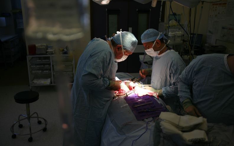 Organtransplantation – spirituelle Aspekte aus anthroposophischer Sicht