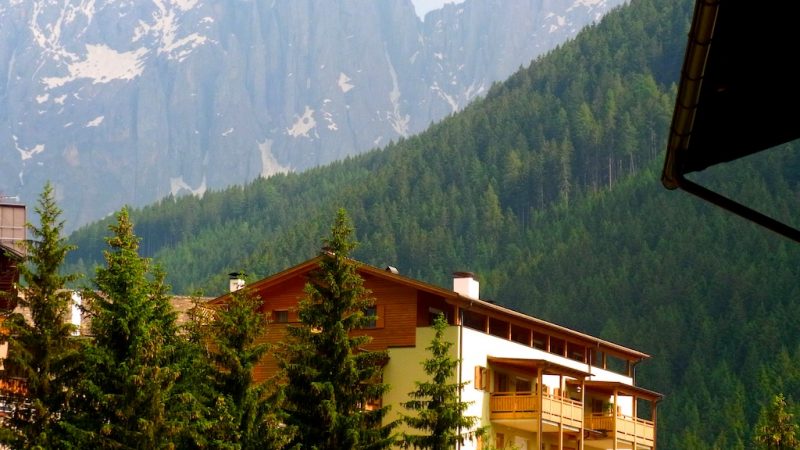 Schadenersatzklage nach Tod von Deutscher nach Begegnung mit Kuhherde in Tirol