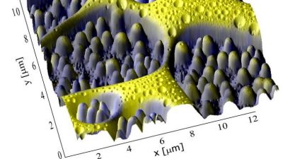 Mit neuer Technologie im Mikrokosmos spazieren gehen