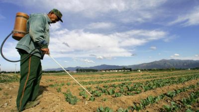 Chinas Wunder-Wirtschaft in sieben Zahlen