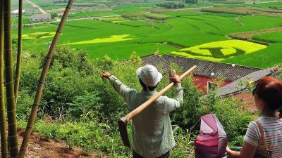 China: Lokale Regierungen treiben Boden-Preis in Rekordhöhen