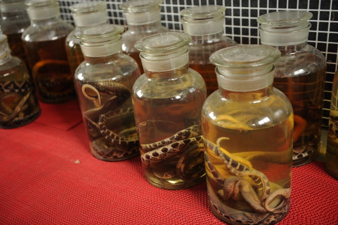China: Kobra überlebt drei Monate in Alkohol – Frau gebissen