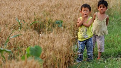Chinas Staatschef warnt vor Getreidemangel