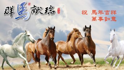 China: Mit Galopp ins Neue Jahr des Pferdes