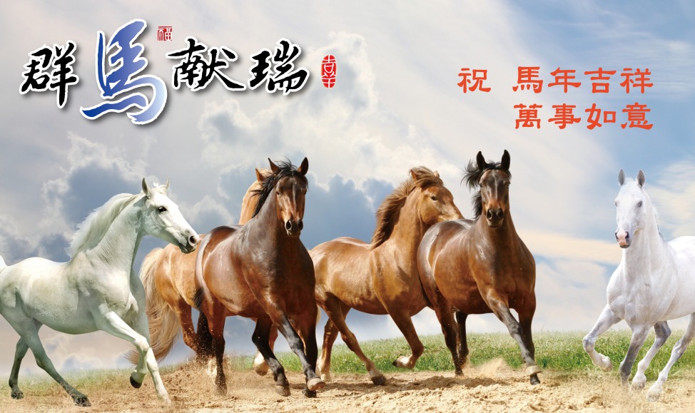 China: Mit Galopp ins Neue Jahr des Pferdes