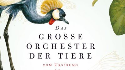 Musik der Wildnis – Das große Orchester der Tiere