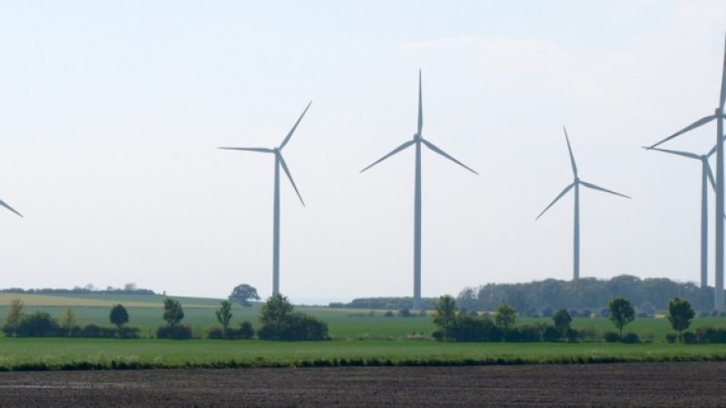 Umfrage: Deutschen ist Umsetzung der Energiewende wichtiger als Landschaftsschutz