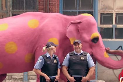 Alkohol am Steuer? Rosa Elefant gesehen (+Video)