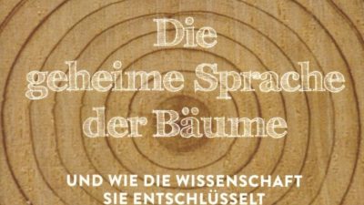 Wissenschaft entschlüsselt die geheime Sprache der Bäume