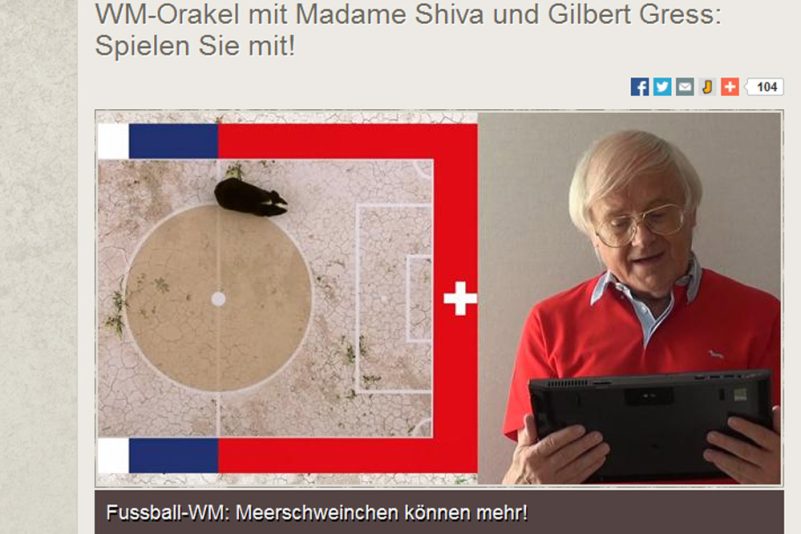 Titelbild