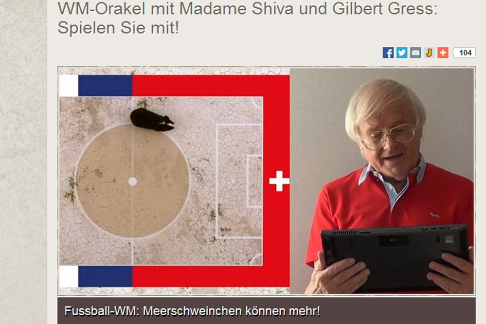 „Heute siegt Schweiz gegen Frankreich!“ sagt Meerschweinchen-Orakel Madame Shiva