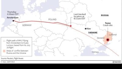 Malaysia Airlines MH 17 Abschuss: Was ist eine Buk-Rakete?