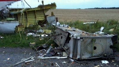 Steinmeier zu Malaysia Airlines MH 17 Absturz: „Separatisten sollen Zugang zum Wrack gewähren!“ (Fotos)