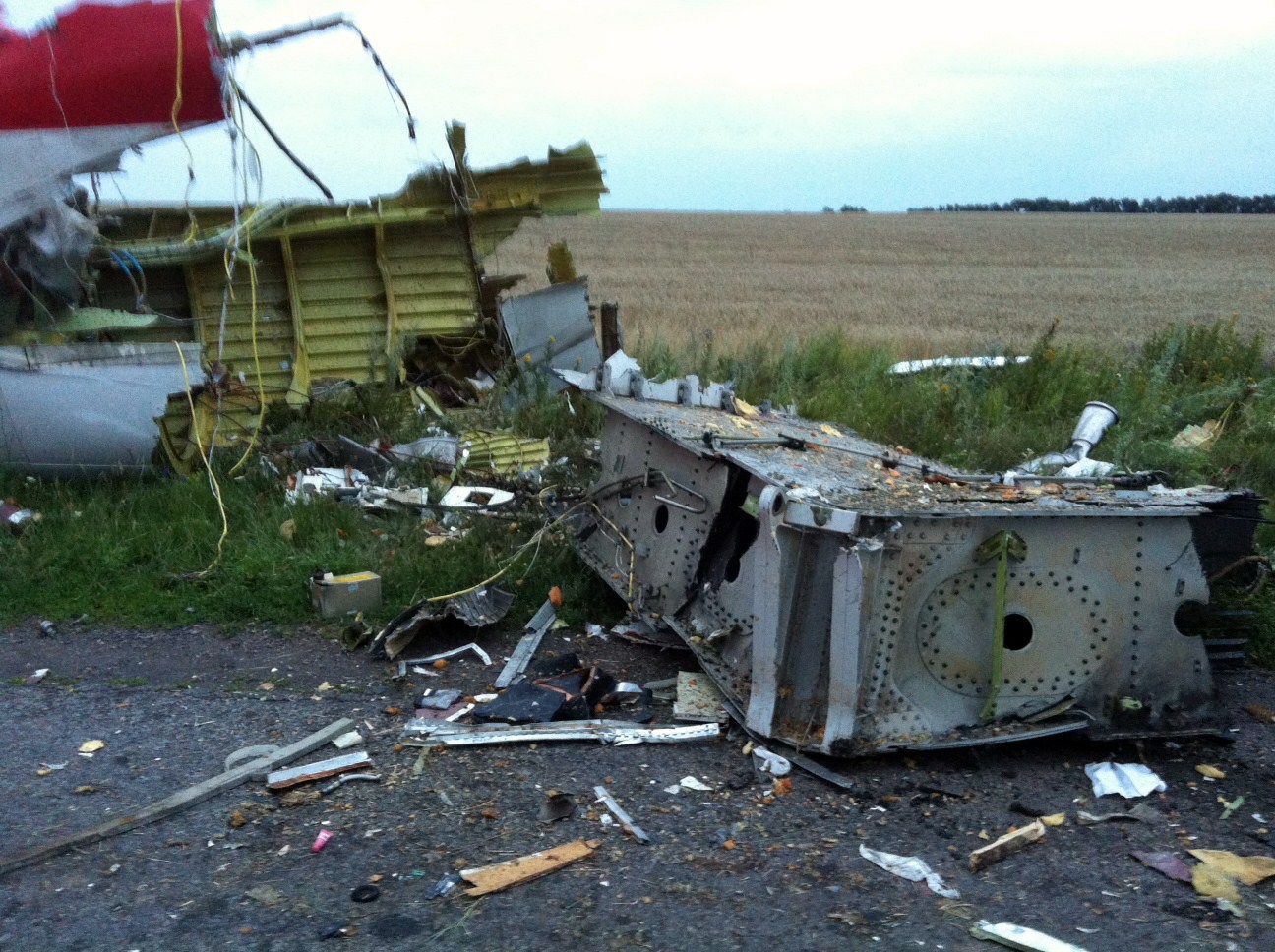 Auswärtiges Amt: Keine deutschen Opfer bei Malaysia Airlines Absturz MH 17  (Fotos und Video)