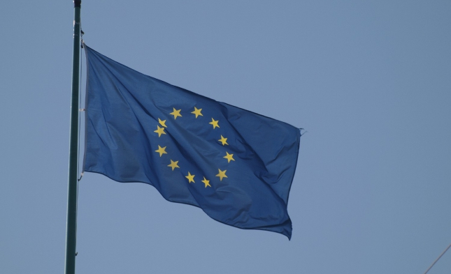 Zeitung: Steinmeier fordert deutsche Webseite der EU-Ratspräsidentschaft