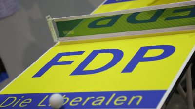 FDP in Niedersachsen beschließt Wahlprogramm
