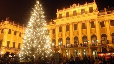 Weihnachtsmarkt Schloß Schönbrunn in Wien: Wo kam der Baum her?