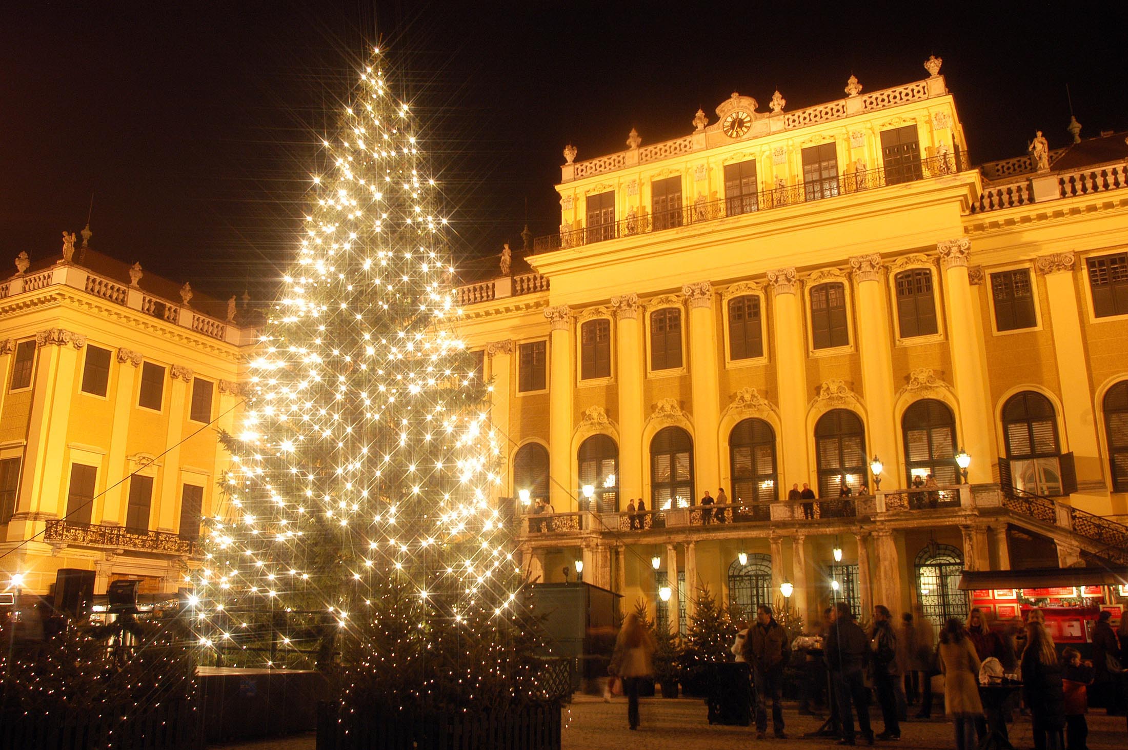 Weihnachtsmarkt Schloß Schönbrunn in Wien: Wo kam der Baum her?