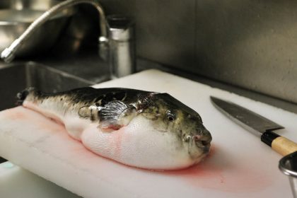 Zombies: Untote unter Drogen – so erklärt die Wissenschaft Voodoo-Opfer