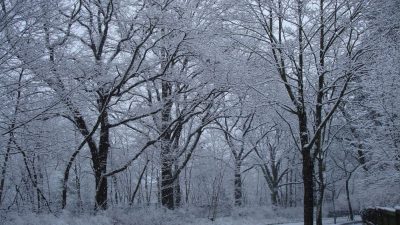 Weiße Weihnacht kommt verspätet und regional mit Schnee und Sturm