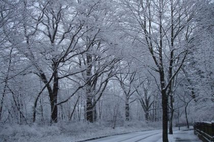 Weiße Weihnacht kommt verspätet und regional mit Schnee und Sturm