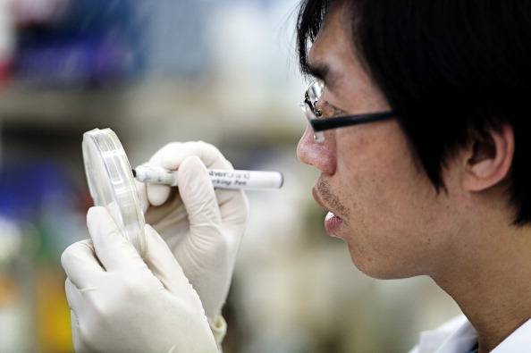 Hongkong: Mutierter Grippe-Virus fordert über 100 Tote