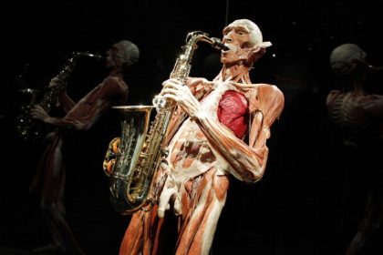 Totentanz am Alexanderplatz – Gunther von Hagens „Körperwelten“ Menschen Museum eröffnet