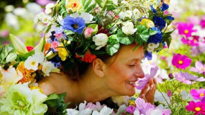 Gärtnern ohne Garten im Trend von ‚Urban Gardening