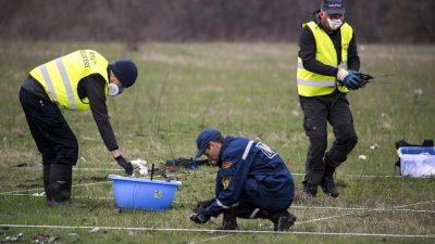 MH17: Bundesregierung wusste von Gefahr – Niederlande feuern kritischen Ermittler