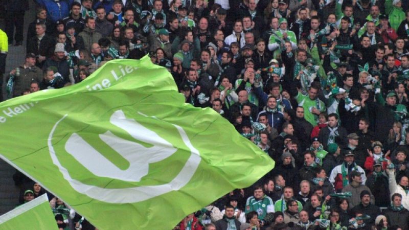 1. Bundesliga: Wolfsburg und Schalke trennen sich 1:1