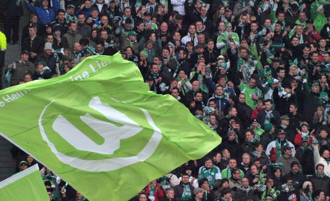 1. Bundesliga: Wolfsburg und Schalke trennen sich 1:1