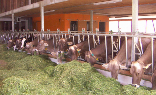 Bericht: Fehlstart für Antibiotika-Reduzierung in der Tierhaltung