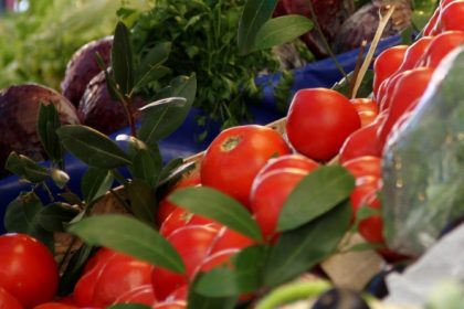 TTIP: Umweltbundesamt fürchtet Aufweichung von Pestizid-Standards