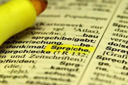 Grüne: Regierung tut zu wenig für Sprachförderung von Flüchtlingen