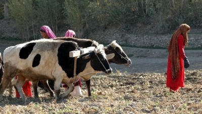 UN: Mehrheit der Landbevölkerung ohne medizinische Versorgung