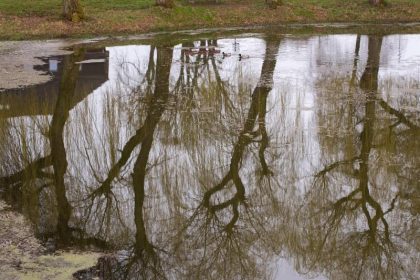 Stark bewölkt mit leichtem Regen