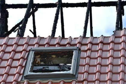 Steinmeier fürchtet um Deutschlands Ansehen