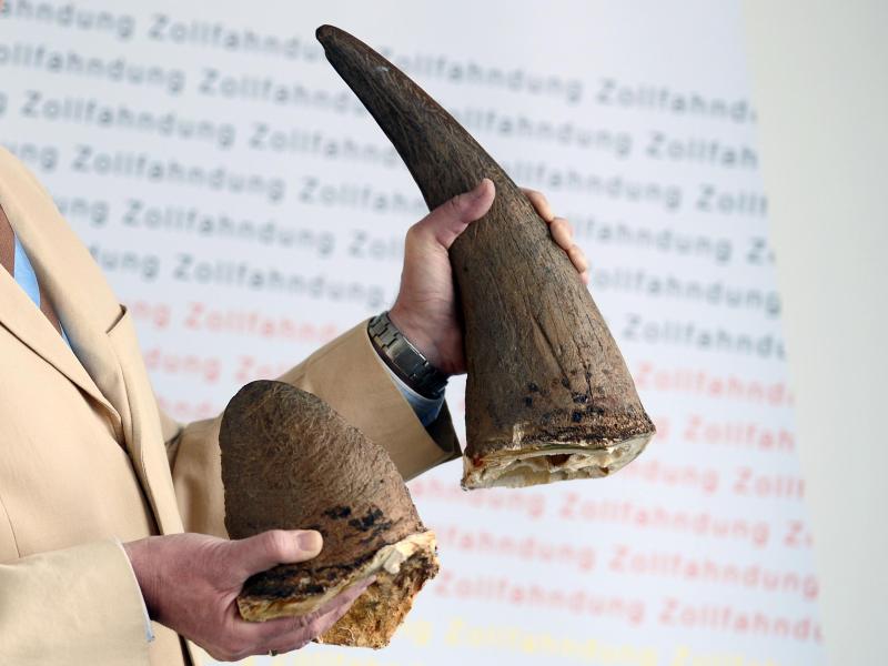 Unbekannte töten Nashorn in Zoo bei Paris und stehlen Horn – Wert des Horns: 40.000 Euro
