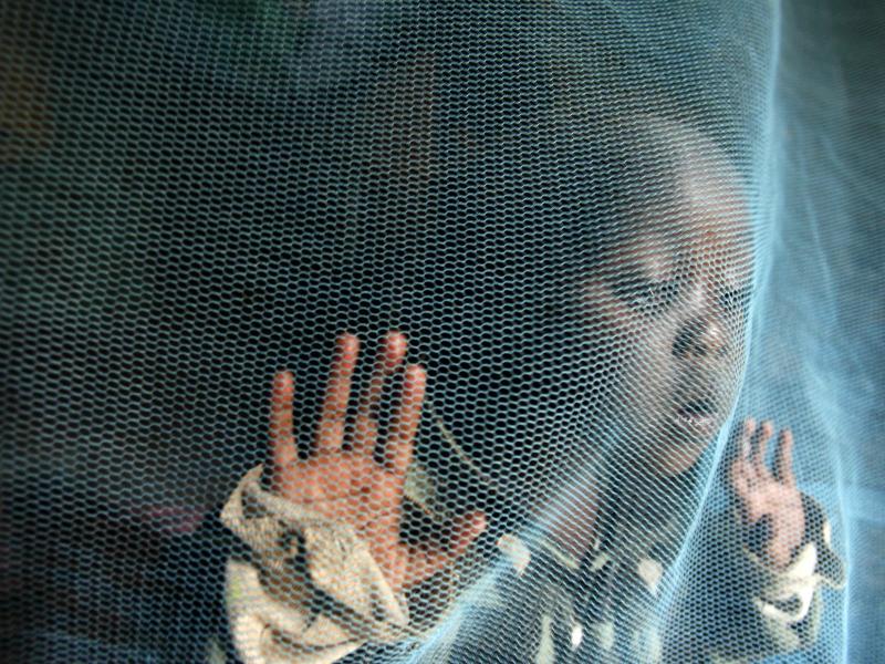 Über 500 000 Malaria-Tote pro Jahr
