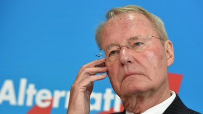 Hans-Olaf Henkel erklärt Rücktritt aus dem AfD-Bundesvorstand